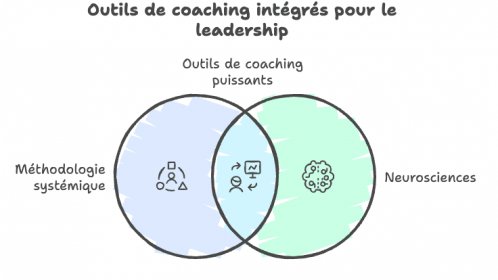 L'approche systémique et les neurosciences pour caoching auprès des dirigeants d'entreprise