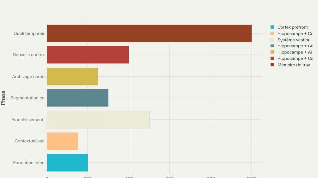 Processus temporel de l'effet de seuil : séquence des phases neurologiques